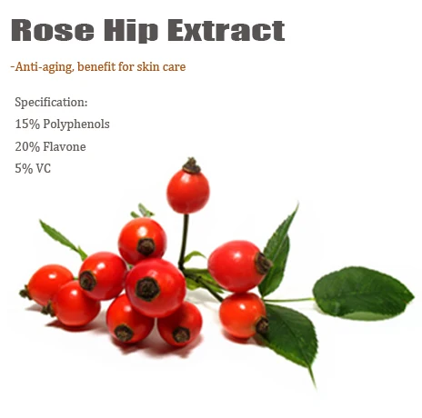 Plant Extract Rosehip Extract Powder Rosehip Polyphenols Rose Hip